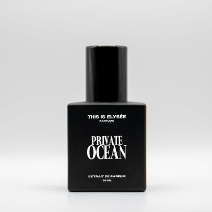 PRIVATE OCEAN perfume THIS IS ELYSÉE PARFUMS | Perfumes de Equivalencia extrait de parfum