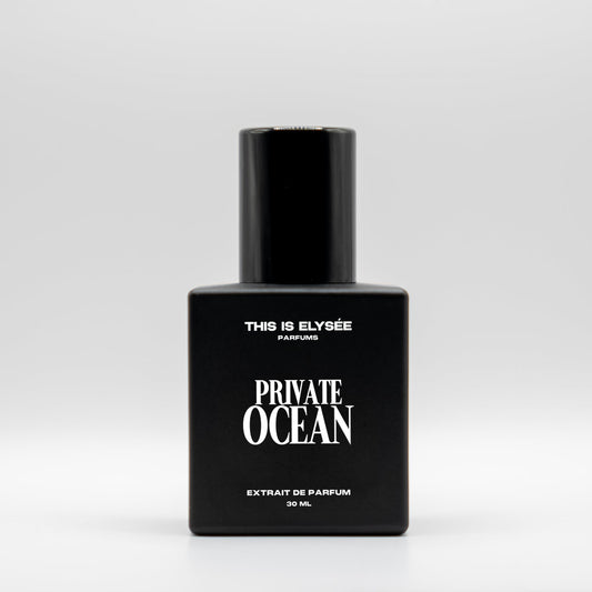 PRIVATE OCEAN perfume THIS IS ELYSÉE PARFUMS | Perfumes de Equivalencia extrait de parfum